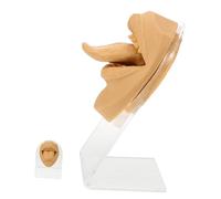 FOMIYES Modèle de Visage à Langue en Silicone Beige Flexible pour Pratique de Piercing, Kit Esthétique Unique avec Support pour Entraînement et Affichage Réaliste