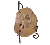FOMIYES Modèles D'ammonites Fossiles pour Collection et Décoration de Table, Charme Esthétique et Matériau Fossile pour Passionnés de Géologie