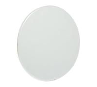 FOMIYES Tablette en Céramique Vierge Ronde 20 CM Assiette à Peindre DIY Surface Lisse pour Peinture Artisanale Matériel Loisirs Créatifs Décoration Personnalisée