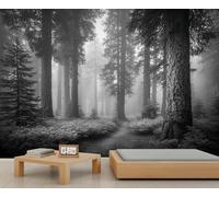 Foncé Brumeux Forêt Foncée Foncée Foncée Jungle Rainforest Arbre Papier Peint Murales Woodland Nature Paysage Papier Peint pour Enfants Chambre Salon Art 200 x 140 cm