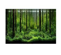 Fond D'aquarium Affiche adhésive 3D en PVC for Aquarium, autocollant de fond for réservoir poissons, arrière-plan du monde sous-marin, océan, mer, plantes Pour La Décoration D'aquarium(D,41x122cm)