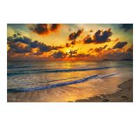 Fond d'aquarium paysage marin coucher de soleil horizon plage tropicale bord de mer doré fond d'aquarium littoral enchanté scène de plage terrarium arrière-plans splendide paysage marin fond