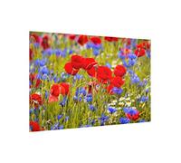 Fond de hotte en verre magnétique épaisseur 4mm fleurs crédence cuisine coquelicot verre trempé panneau mural rouge tableau magnétique motif cuisine cuisinière 5467 (90x59cm)