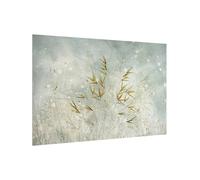 Fond de hotte en verre magnétique épaisseur 4mm fleurs crédence cuisine herbes verre trempé panneau mural gris tableau magnétique style maison de campagne cuisine cuisinière 7054 (60x40cm)