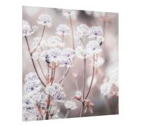 Fond de hotte en verre magnétique épaisseur 4mm fleurs crédence cuisine herbes verre trempé panneau mural marron tableau magnétique style maison de campagne cuisine cuisinière 5937 (60x59cm)