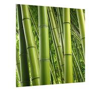 Fond de hotte en verre magnétique épaisseur 4mm forêt crédence cuisine plantes verre trempé panneau mural vert tableau magnétique style tropical cuisine cuisinière 1842 (60x59cm)