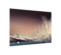 Fond de hotte en verre magnétique épaisseur 4mm plumes crédence cuisine verre trempé avec motif panneau mural beige tableau magnétique style maison de campagne cuisine cuisinière 2336 (80x59cm)