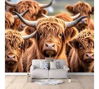 Fond D'Écran 3D Mural Jolie Vache Des Highlands 150x105 cm, Nature Paysage Papier Peint Panoramique Effet 3D,Non-tissées Photo papier peint, pour Moderne Salon Chambre TV Fond