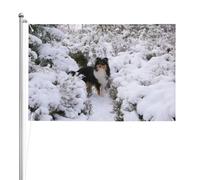 Fond d'écran Sheltie d'hiver,Drapeau de jardin, bannière décorative, drapeau double face, 2 x 3 pieds, pour extérieur et intérieur