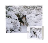 Fond d'écran Sheltie d'hiver,Puzzle Familial en Bois de 500 pièces pour Adultes et Adolescents, décoration d'intérieur