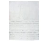 Fond Photo en Papier Double Face Imperméable pour Photographie | Papier Couché Réutilisable, Adapté au Flat Lay la Photo Cosmétique, Format Décoratif pour Prises de Vue