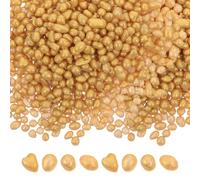 FONDOTIN 1 Boîte Boîte de Riz Doré Feng Shui pour Prospérité Décoration Multifonctionnelle Mini Grains de Richesse pour Brûleur Aromatique et Coupe Au Trésor Ornement de Fortune Chinoise