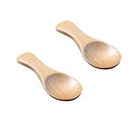 FONDOTIN 2 pièces Cuillères Miniatures Cuillères à Manche Court pour Sel Sucre Épices et Glace Accessoires de Cuisine Multifonctionnels Naturelles