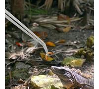 FONDOTIN 2 pièces Pinces à Épiler Longues et Courbées pour Nourrissage Reptile et Aquarium Accessoires Antidérapants pour Animaux de Compagnie