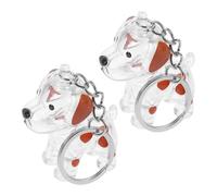 FONDOTIN 2 pièces Porte-clés Collecteur Poils Animaux Compagnons Coffret Commémoratif Transparent Chien Souvenir Émotionnel Compact pour Amoureux Animaux