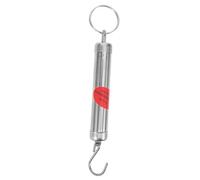 FONDOTIN balance portable Écailles de salle de bain printemps pendaison analogique mini-balances portables suspendue à ressort Acier inoxidable Argent