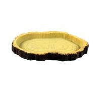 FONDOTIN Bol en Résine pour Reptiles Bol À Eau pour Tortues Mangeoire pour Lézards Motif Roche Accessoire Aléatoire