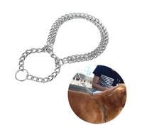 FONDOTIN Collier de Dressage pour Chien Métal Chromé Double Rangée Réglable et Collier Semi Étrangleur pour Animaux de Compagnie