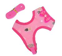 FONDOTIN Harnais pour Coq de Compagnie Laisse de Traction Extérieure, Gilet pour Poule Domestique en Tissu Léger, Taille M Rose Motif Ananas, pour Promenades en Plein Air et Fêtes à Thème