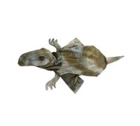 FONDOTIN Hoodie Peluche pour Animaux De Compagnie Forme De Dinosaure Costume Amusant Et Chaud pour Petits Et Moyens Chiens Et Chats