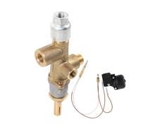 FONDOTIN Kit De Rechange Thermocouple avec Sécurité Basculement pour Parasol Chauffant Extérieur Propane Accessoire De Protection Anti-Incendie Compatible Chauffage Terrasse Et Tube Heat