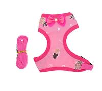 FONDOTIN Laisse pour Poule Gilet Décoratif Costume Adorable de Coq Corde à Tirer pour Animaux Sangle de Poitrine Accessoire pour Promenade et Fête