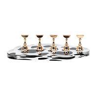 FONDOTIN Présentoir Nail Art 5 Pièces Petit Format Motif Vache Acrylique Doré Support D'entraînement Pour Ongles Débutants Pratique Manucure Et Pose D’ongles Cristal