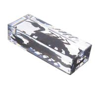 FONDOTIN Spécimen Scorpion Résine Transparente Presse-papiers Animaux pour Éducation Collection Insectes Classroom Ornement Décoratif et Apprentissage des Sciences