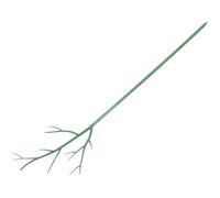 FONDOTIN Tuteurs De Plantes Support De Pot Échafaudage pour Tige Unique Treillis Escalade pour Balcon Et Jardin