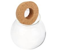 FONDOTIN Vase Verre Hydroponique pour Plantes Intérieur Pot Décoratif de Bureau Propagation et Hydroculture Design Élégant et Compact pour Maison et Salon