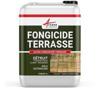 Fongicide, anti dépôt vert, concentré, pour terrasse et sols, élimine, algues et lichens, anti-mousse - 1 L (jusqu'à 250 m²) - ARCANE INDUSTRIES