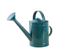 Fonowx Arrosoir en Métal 4 L avec Tête D'arrosage et Double Poignée pour Le Jardinage, Bleu