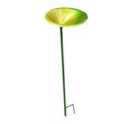 Fonowx Mangeoire à Oiseaux en Métal avec Abreuvoir pour Abeilles pour Jardin et Terrasse, Vert