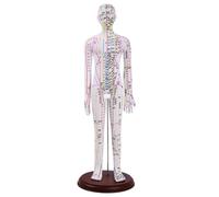 Fonowx Mannequin d'Acupuncture Modèle Didactique Figurine Anatomique Support de Repérage Lignes de Méridiens et Points Signalétique Detaillée en Pvc Rigide, 62 Cm, style to 1