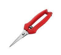 Fonowx Sécateur de jardin Ciseaux de cueillette de fruits Sécateurs à main de jardinage pour éclaircir le jardin, Petit pointu