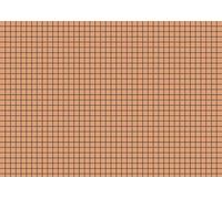 Fontaine 102240000 onglet (A4 Papier, 100 Pièces A5 kariert orange