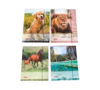 Fontaine 1047084 Chemise (A4, carton, avec élastique, motifs animaux)
