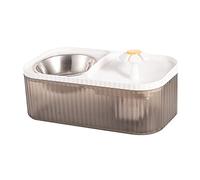 Fontaine à boire avec bol en acier inoxydable pour animal domestique avec filtre à recirculation de l'eau