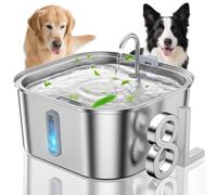 Fontaine à eau pour chiens de grande taille, 8 L, fontaine à eau en acier inoxydable pour animaux de compagnie avec fenêtre de niveau d'eau, distributeur automatique de gamelle d'eau pour chiens de S