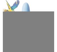 Fontaine à Eau pour Oiseaux,Abreuvoir Automatique pour Oiseaux | Solution Hydratation Facile à Installer pour Perruche Canari Perroquet Calopsitte Inséparable Ara