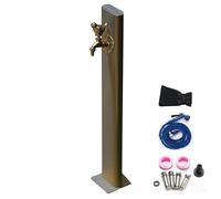 Fontaine de Jardin en Acier Inoxydable avec Robinet à Oiseaux - Solution d'irrigation et de Lavage extérieure Vintage (Marron)