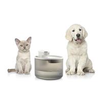 Fontaine pour Chats - InnovaGoods - Rechargeable - 3 L - Silencieuse - Détecteur de Mouvement