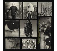 Foo Fighters - Making a Fire/Chasing Birds (RSD 2022) [Import]