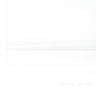 Foo Fighters, Neues Album 2023, But Here We Are, Vinyl, LP Schwarz