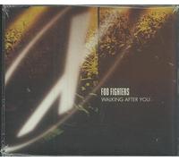 Foo Fighters - Walking After You [Import]