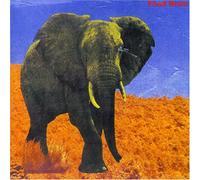 Food Brain - Food Brain [Import]