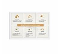 Food Poster Kitchen Hygiene Guidelines Prevention Chart Educational Canvas Wall-Art for Restaurant Home Kitchen Decor(Unframed,16x24inch(40x60cm))