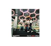 Blossoms - Foolish Loving Spaces [Import]