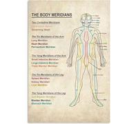 FOPURE Body Meridians Acupuncture Points Chart Traditional Chinese Medicine Wall-Art for Office Clinic Room Decor(Framed,08x12inch(20x30cm))