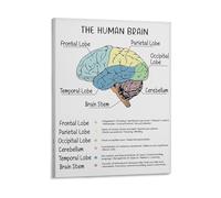 FOPURE CBT Art Print Human Brain Poster Anatomy Psychology Brain and Behavior Mental Health Brain Lobes Functions Office Decor(Framed,08x12inch(20x30cm))